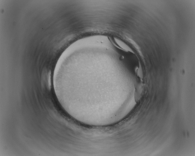 X0000088370020200706191254