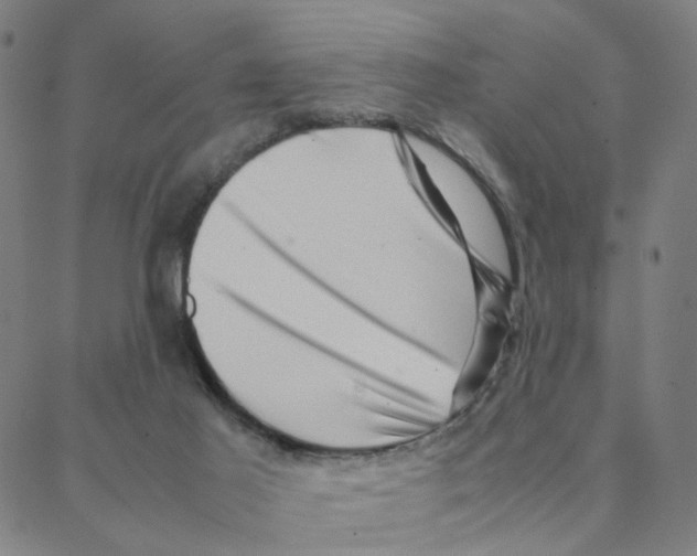 X0000088370021200706191254