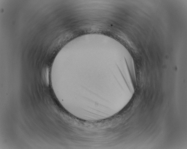 X0000088370022200706191254