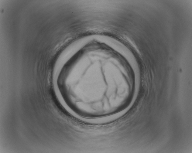 X0000088370023200706191254