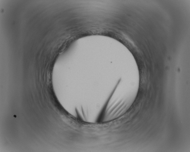X0000088370025200706191254