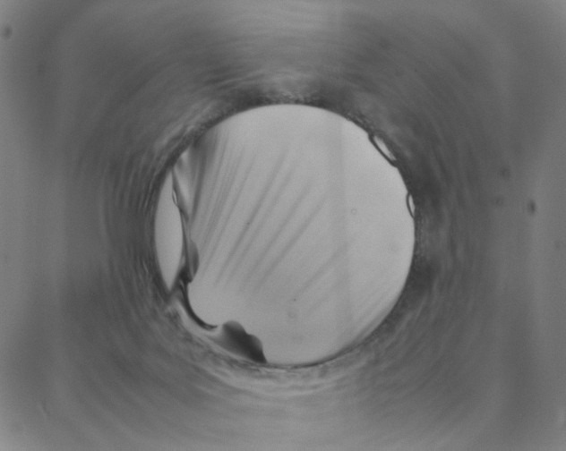 X0000088370027200706191254