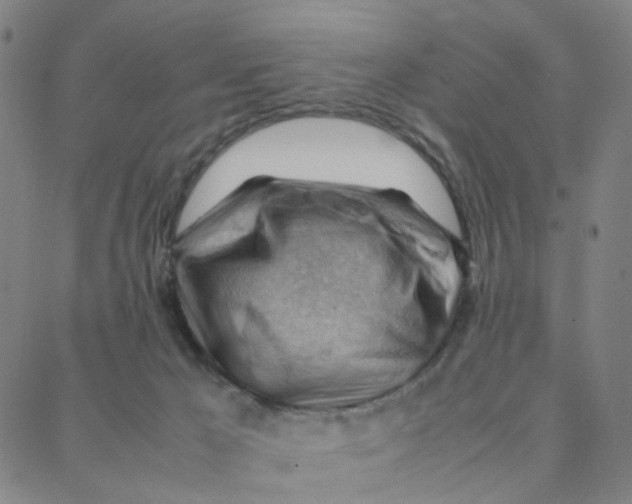 X0000088370029200706191254
