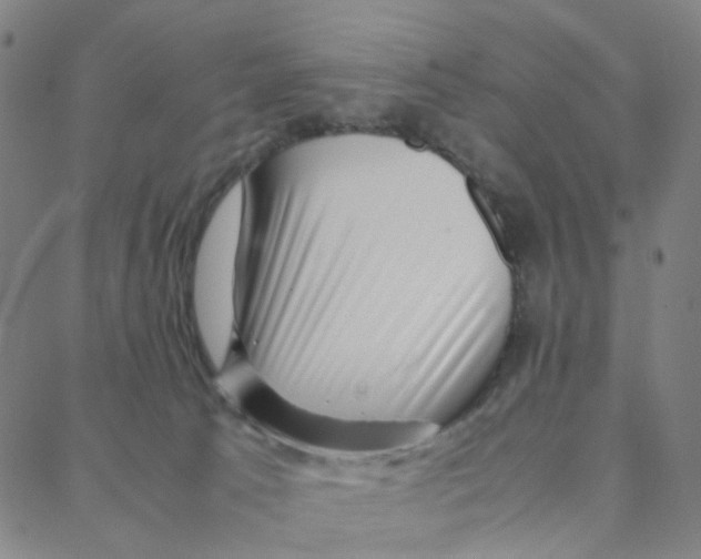 X0000088370033200706191254