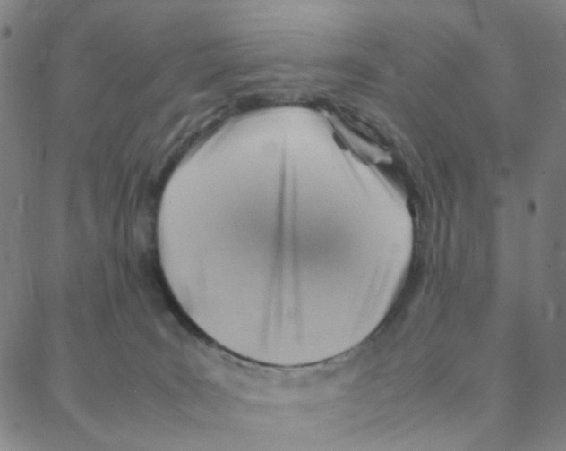 X0000088370035200706191254