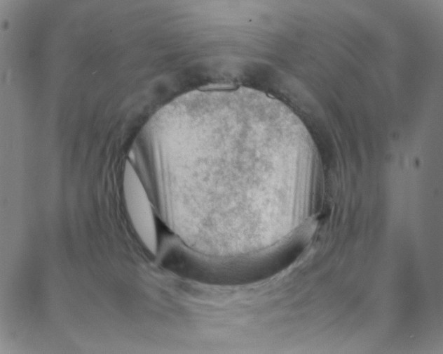 X0000088370037200706191254