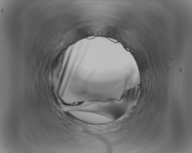 X0000088370039200706191254