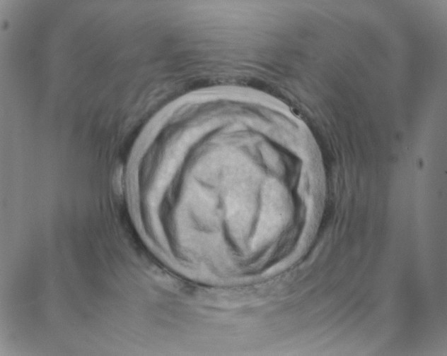 X0000088370041200706191254