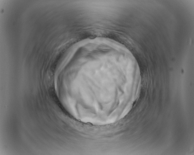 X0000088370043200706191254