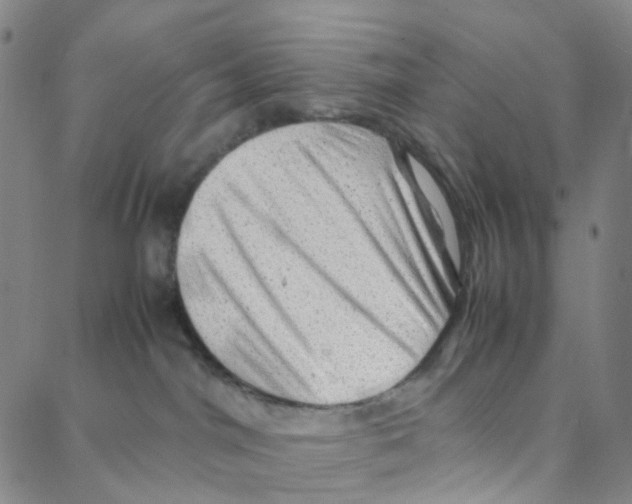 X0000088370044200706191254