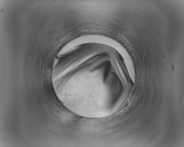 X0000088370045200706191254