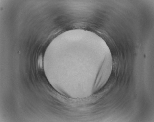 X0000088370046200706191254