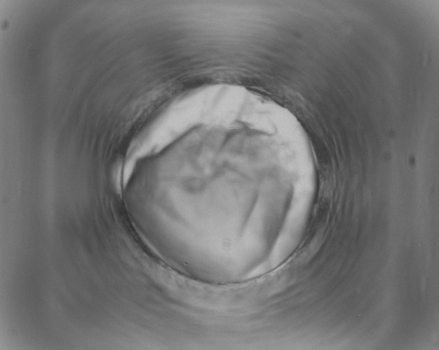 X0000088370047200706191254
