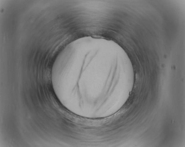 X0000088370048200706191254