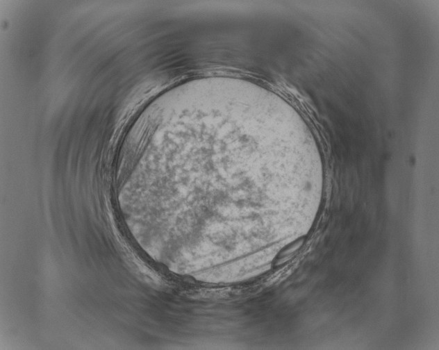X0000088370049200706191253