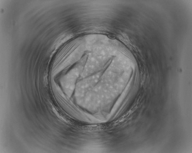 X0000088370050200706191253