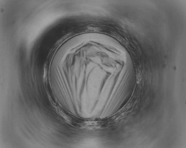X0000088370052200706191253