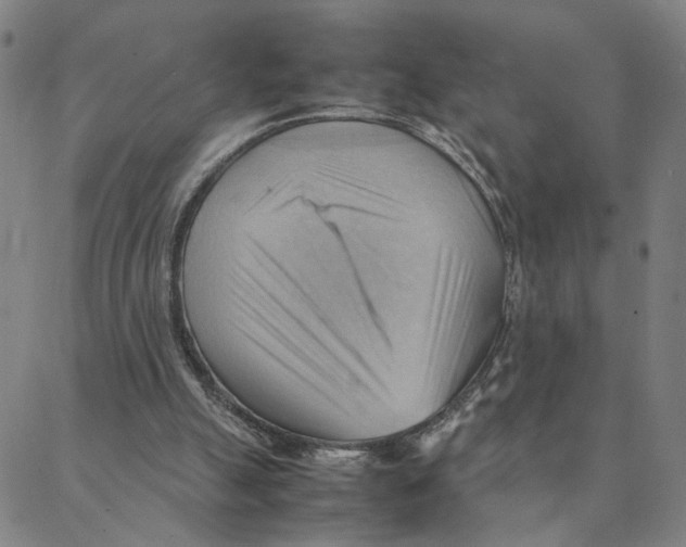 X0000088370055200706191253