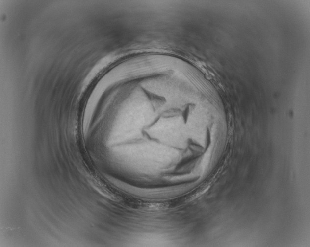 X0000088370056200706191253