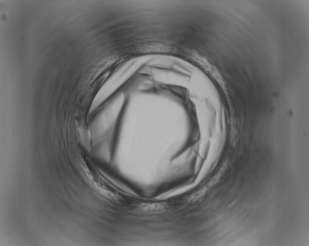 X0000088370057200706191253