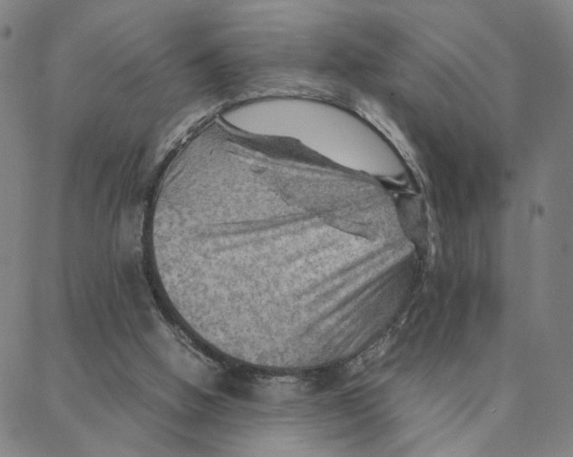 X0000088370058200706191253