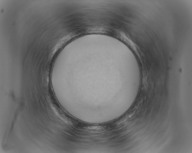 X0000088370059200706191253