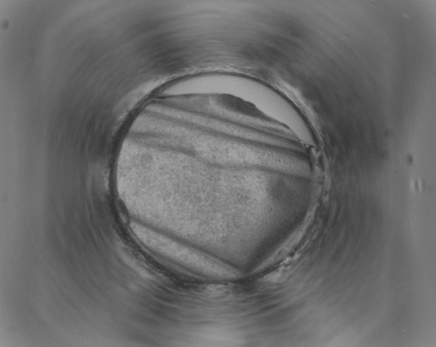 X0000088370060200706191253