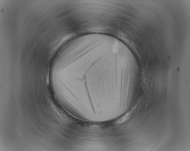 X0000088370062200706191253