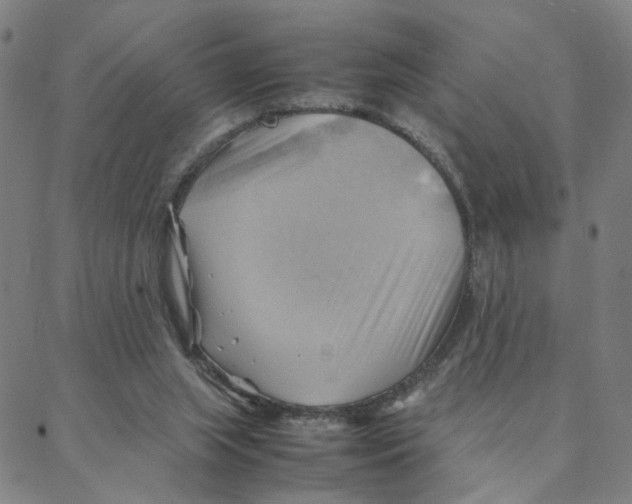 X0000088370063200706191253