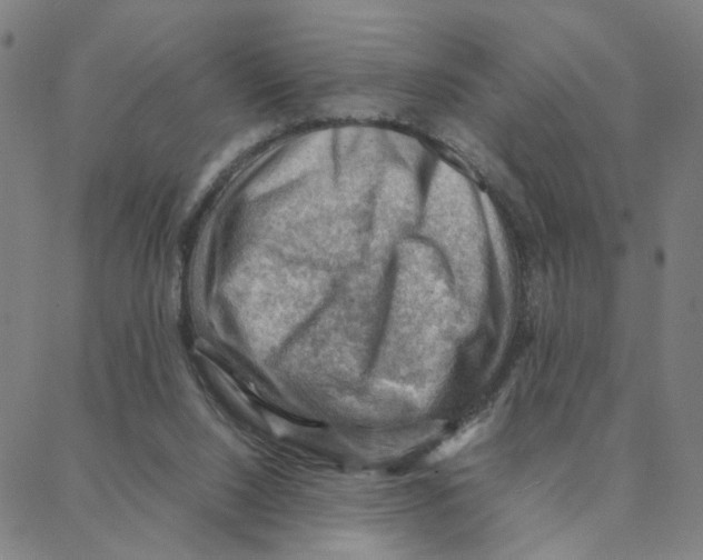 X0000088370064200706191253