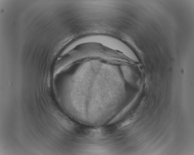 X0000088370068200706191253