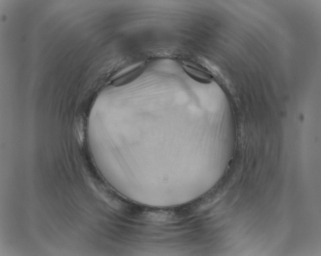 X0000088370069200706191253
