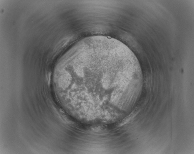 X0000088370070200706191253