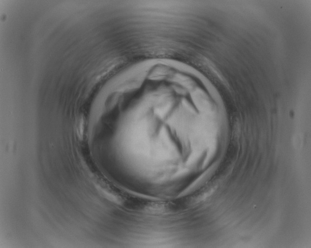X0000088370076200706191253