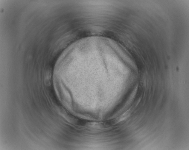 X0000088370082200706191253