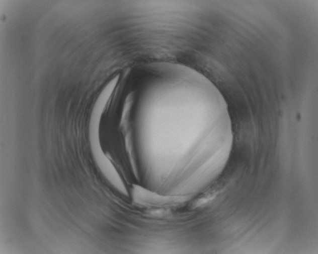 X0000088370084200706191254