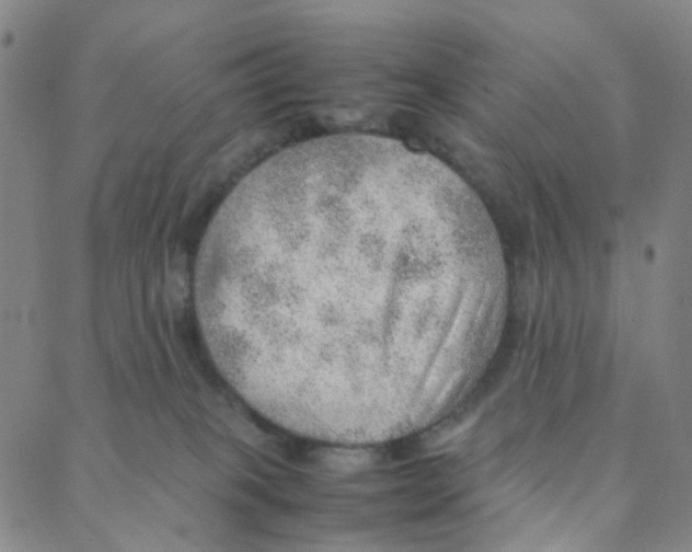 X0000088370085200706191254