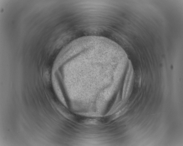 X0000088370086200706191254