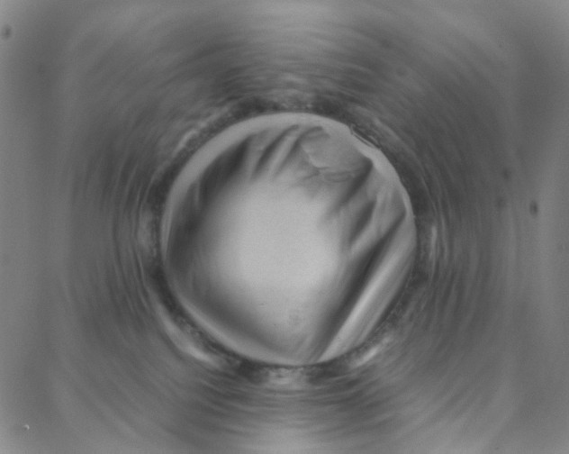 X0000088370088200706191254