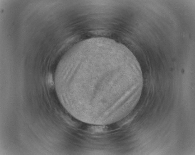 X0000088370089200706191254