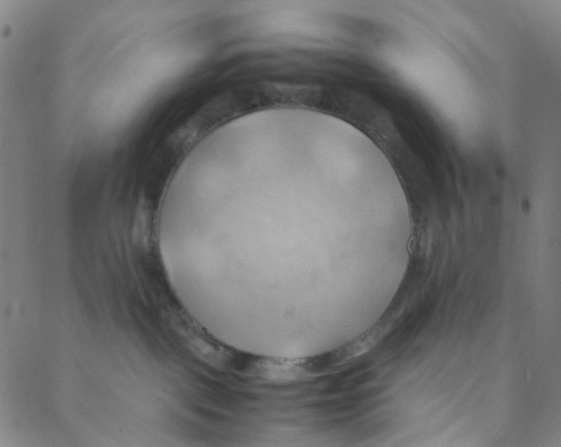 X0000088370093200706191254