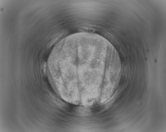 X0000088370094200706191254