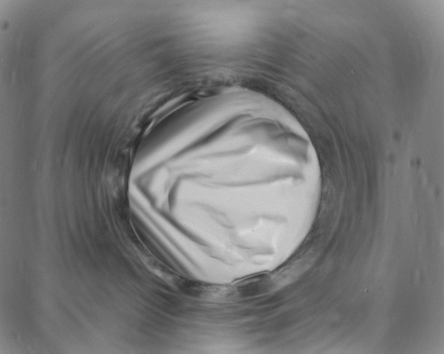 X0000088370096200706191254