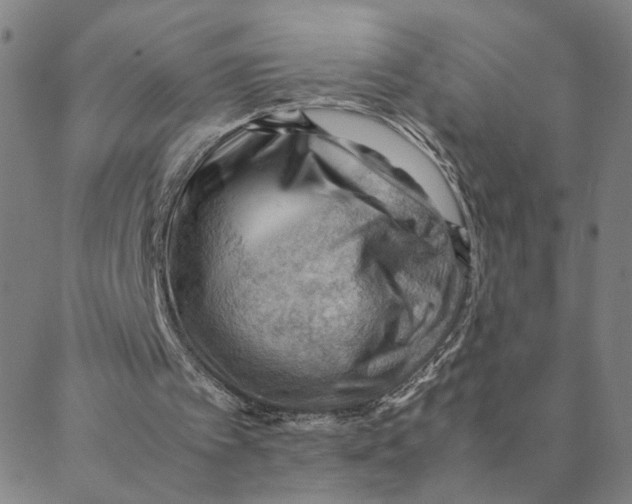X0000088370097200706191253