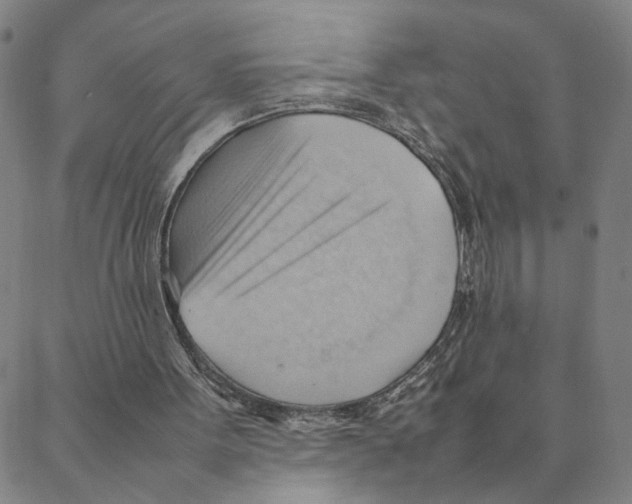 X0000088370099200706191253