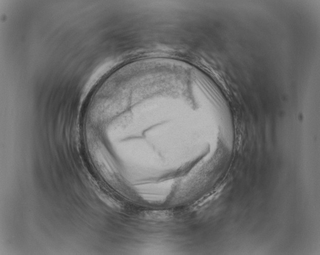 X0000088370102200706191253