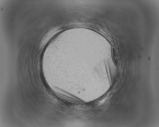 X0000088370103200706191253