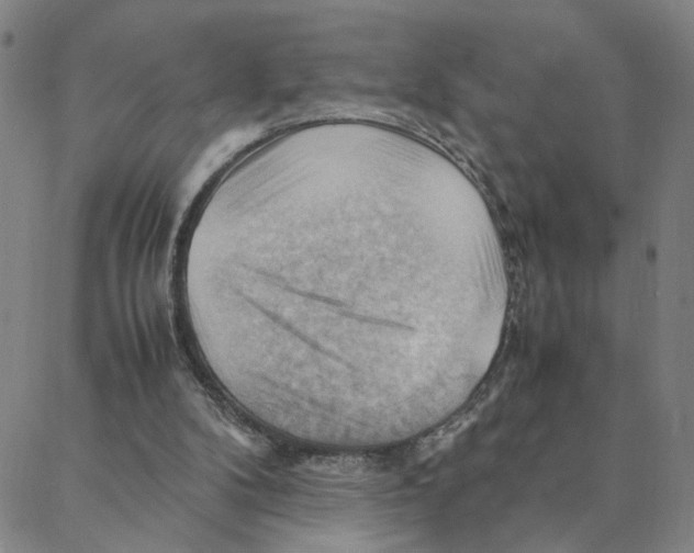 X0000088370104200706191253