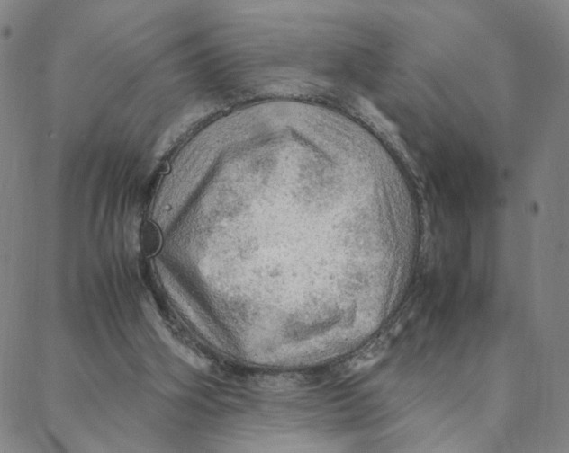 X0000088370106200706191253