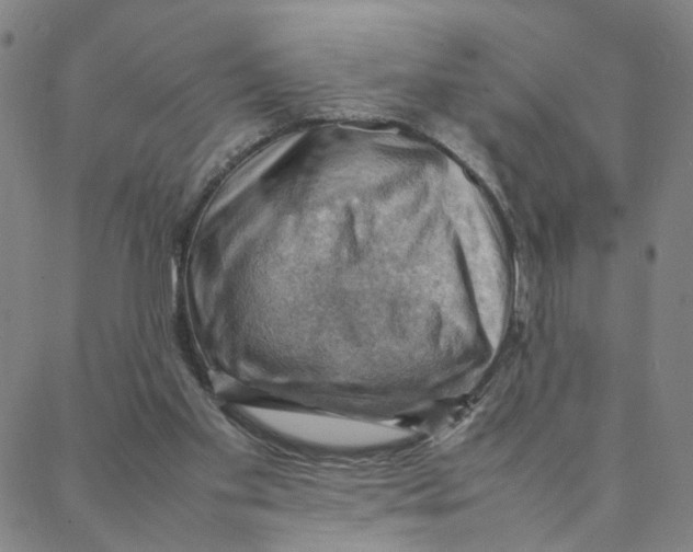 X0000088370109200706191253